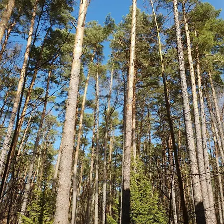 Apartament Jednopoziomowy - Pogorzelica (Gmina Rewal)