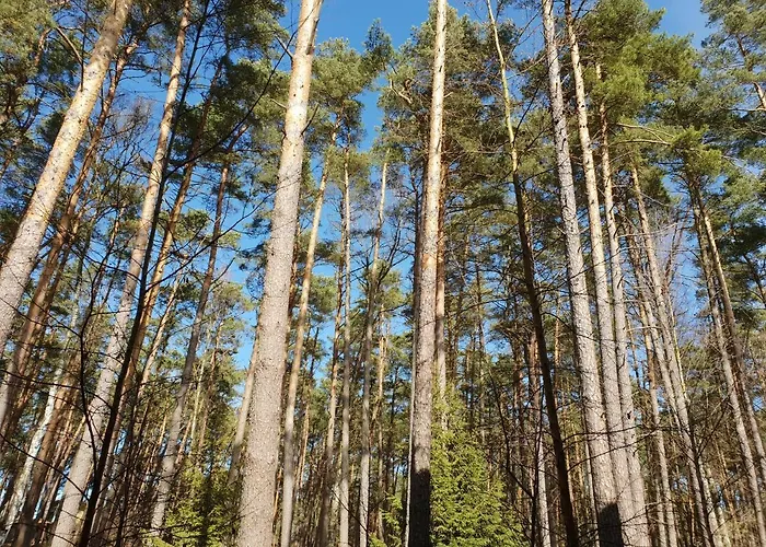 Apartamento Jednopoziomowy - Pogorzelica (Gmina Rewal)